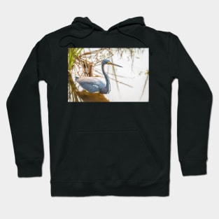 Tri-colored Heron Wading the Shallows Hoodie